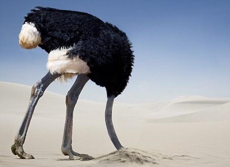 چرا یک شتر مرغ سر خود را در ماسه پنهان می کند