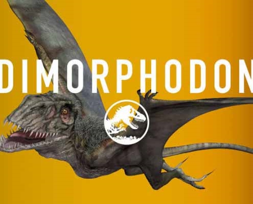 Диморфодон, Dimorphodon