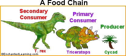 Awọn apanirun ati awọn herbivores ni awọn oriṣi awọn ọmọ ile-iwe