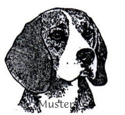 Kelb hound Basset