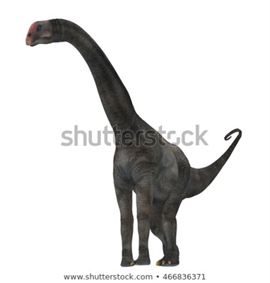 Apatosaurus (Brontosaurus) - biljojedi dinosaurus