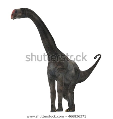 Apatosaŭro (Brontosaŭro) - herbovora dinosaŭro