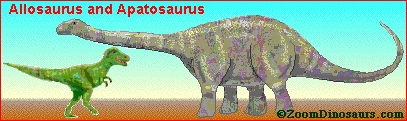 Apatosaurus (Brontosaurus) - dinosaur herbivorous