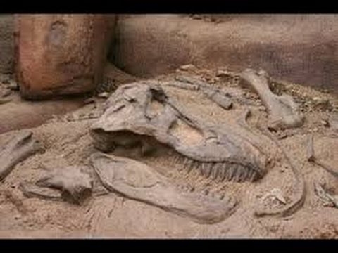 Останки динозавра «Коготь-молния» отыскали в Австралии