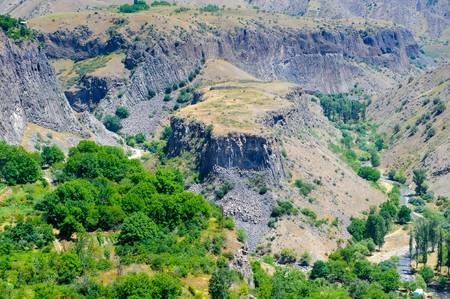 Оппосумдар: алар канча турат, эмне жейт, кантип кам көрөт