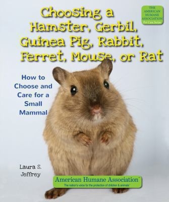 Kepiye ngrawat hamster ing omah? Care kanggo hamsters: review, foto