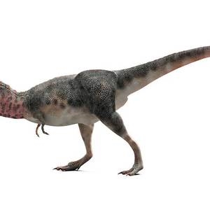 Tarbosaurus - dinosawru predatorju