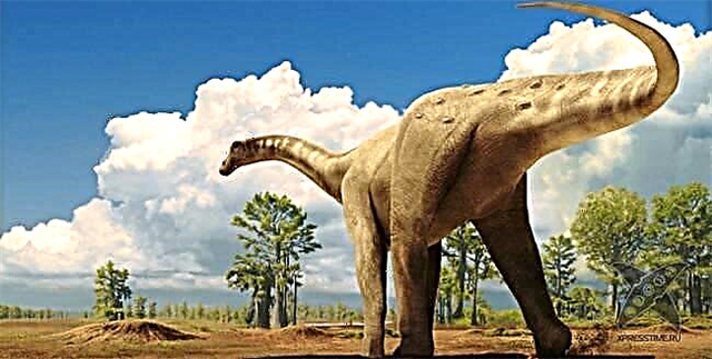 Tirannosaurus - yırtıcı bir dinozavr