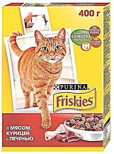 مواد غذایی گربه Friskies: بررسی ، ترکیب ، چه چیزی را جایگزین کنید