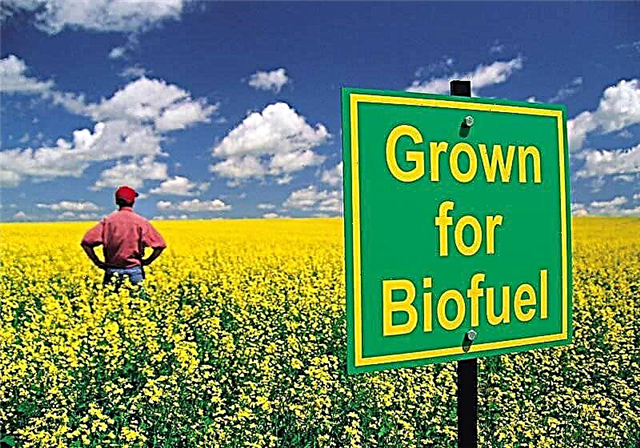 I-Biofuel yendiza