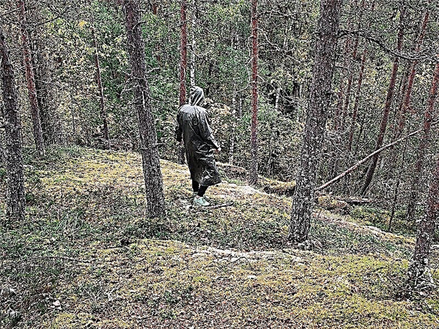 Cadangan Alam Kivach - "Karelia ing Miniatur"