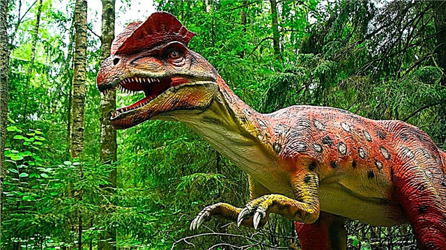 Kapunahan dinosaurus: nyababkeun, hipotesis sareng téori