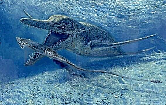Pliosaur (Predator X) - vodeni dinosaur