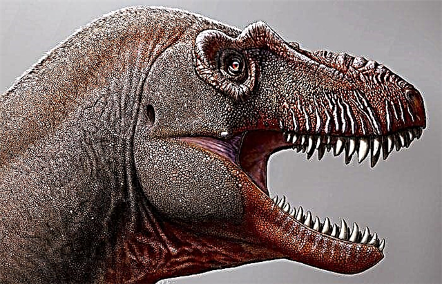 Divulgouse a verdade sobre o ADN sobreviviente do dinosaurio