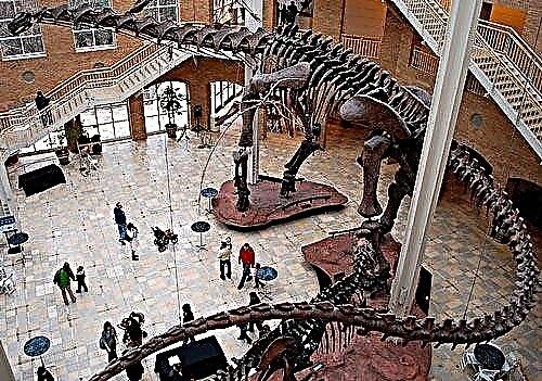 Argentinosaurus - o'tli o'tli dinozavr