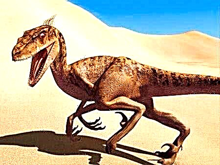 Dinosaur Deinonychus - Scary Claw