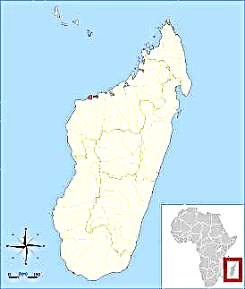 Astrochelys yniphora (Crwban pigog Madagascar, Angonoka)