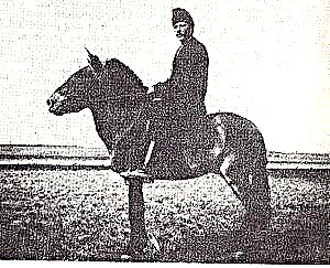 O cabalo de Przewalski