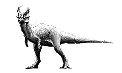 Pachycephalosaurus Pachycephalosaurus - Пачи